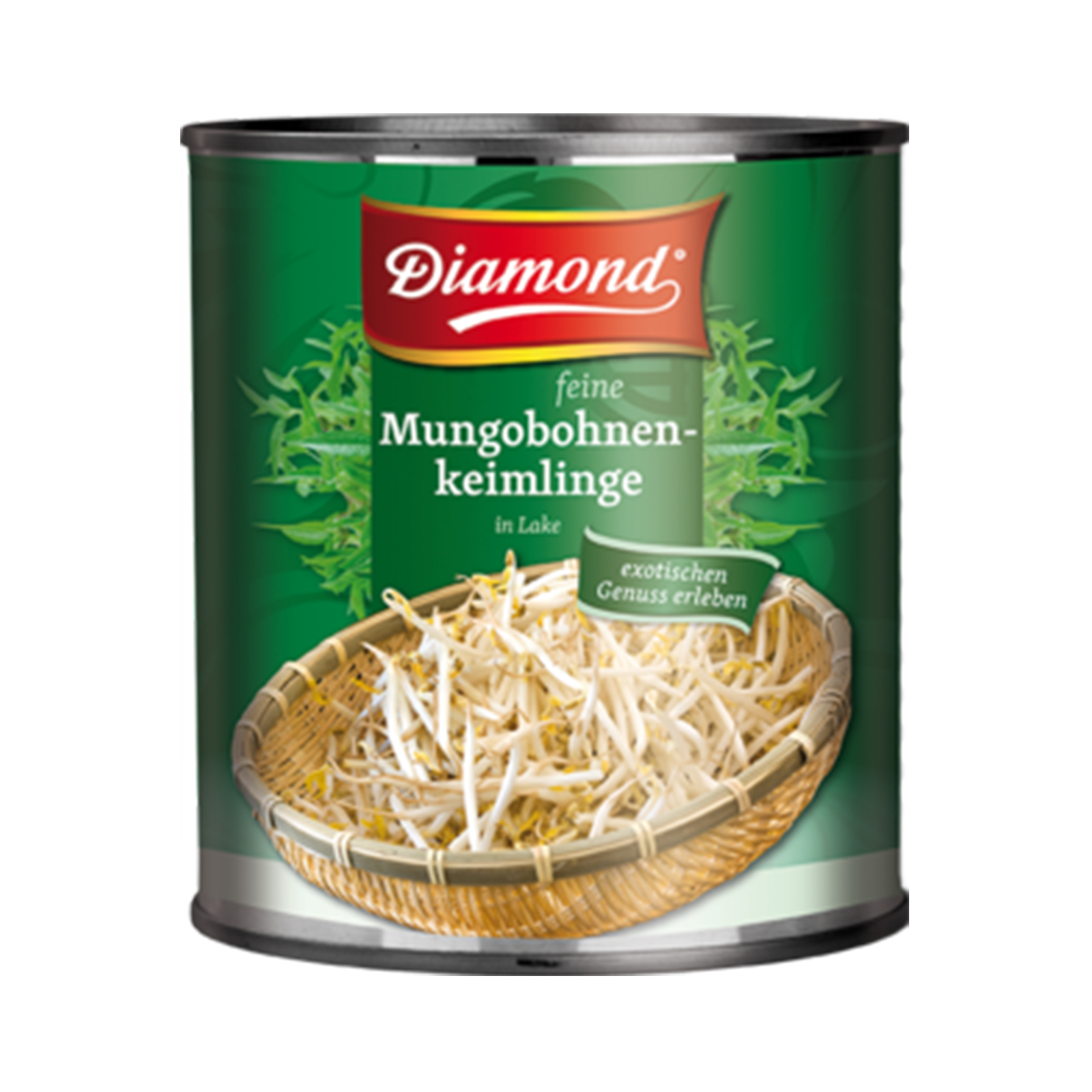 Bean Sprouts (Mung)  2900gr